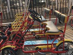 -永定河休闲森林公园