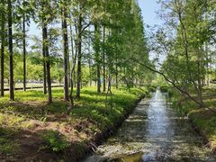 -黄海国家森林公园