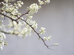 -东山风景区(洞庭东山)