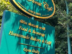 -Fern Forest Cafe