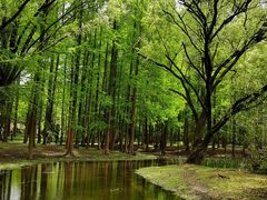 -共青国家森林公园-售票处