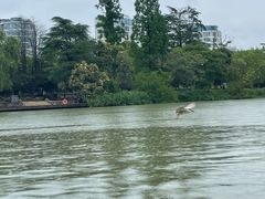 -南通濠河风景名胜区
