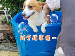 -汪说喵讲宠物乐园宠物酒店(红星美凯龙店)
