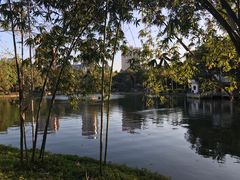 -晓港公园