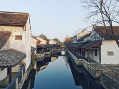 -鲁镇