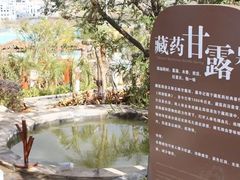 -华侨城阳宗海海景温泉