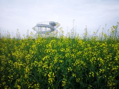 -光明小镇欢乐田园