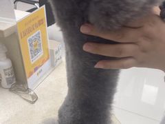 -安安宠医·安烨宠物医院·宠物保险(北仑分院)