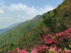 -大围山国家森林公园