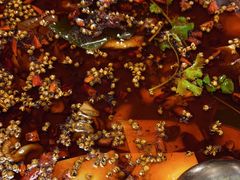 -味之绝热血美蛙鱼火锅(中坝店)