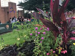 -美国独立纪念馆