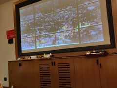 -菩凡足疗养生(No.3 小河万科店)