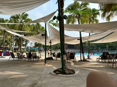 -重庆海昌加勒比海水世界