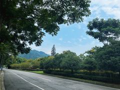 -青城山
