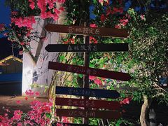 -莲花山公园