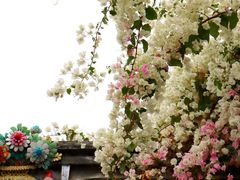 -深圳国际园林花卉博览园