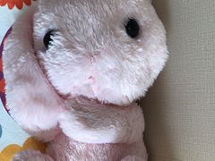 -LLJ夹机占(清河万象汇店)