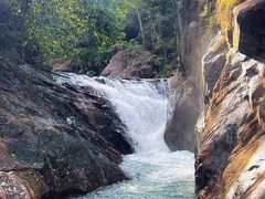 -广州白江湖森林公园