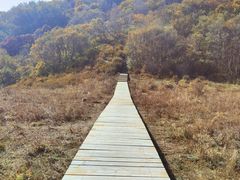 -白草畔自然风景区