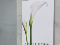 -福奈特洗衣洗鞋(宝华广场店)