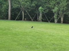 -上海怡沁园度假酒店