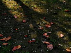 -西南交通大学(九里校区)