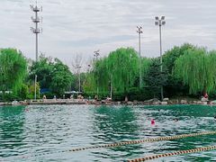 -柳浪游泳场