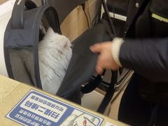 -艾贝尔宠物医院·狂犬免疫点(江山金象城店)