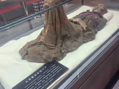 -巴音郭楞蒙古自治州博物馆
