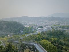 -福道