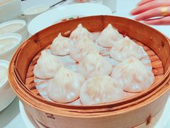 -张生记(丁香国际店)