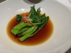 -觀芷隐轩