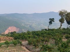 -舒家湾天主教堂