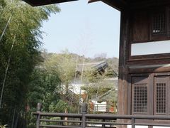 -大唐贡茶院