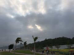 -野狸岛