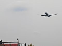 -空港花田景区