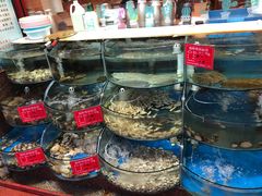 水产区-东来菜馆•手抓海鲜家常菜•海鲜锅贴(鸽子窝店)
