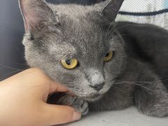 -芭比堂爱心动物医院(柯桥康爱分院)