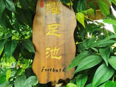 -普陀山雷迪森庄园