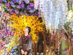 -正佳雨林生态植物园