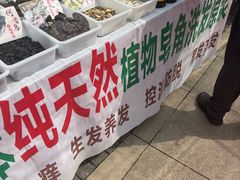 -南翠屏公园