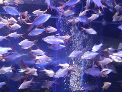 -成都浩海立方海洋公园