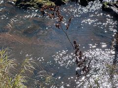 -汤旺河林海奇石景区