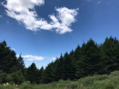 -白草畔自然风景区