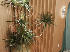 -清真·卡德尔大叔新疆主题餐厅(龙汇路店)