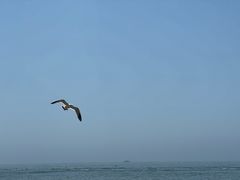 -大连金石滩国家旅游度假区