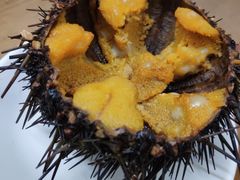 -海胆小馆(东北水饺·春柳店)