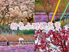 -盈香心动乐园