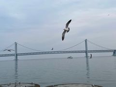-星海广场