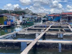 -蓝湾碧波·老字号·疍家非遗海上餐厅